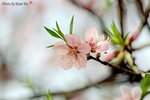 DSa_080320_I0007