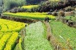 DSa_080320_I0020