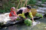 DSa_080320_J0022