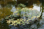 DSC02045