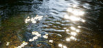 DSC02048
