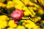 DSC02119