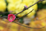 DSC02183