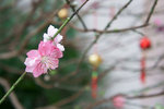 DSC02190