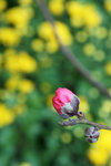 DSC02205