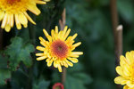 DSC02260