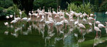 DSC02376