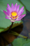 DSC03193