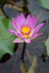 DSC03201