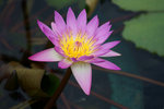 DSC03246