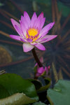 DSC03252
