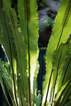DSC03318