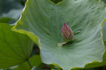 DSC03351