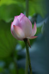 DSC03360