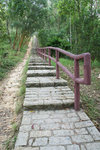 DSC03478