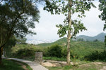 DSC03510