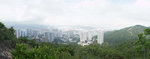 DSC03534