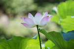 DSC03558