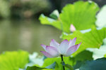 DSC03560