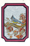 DSC03716