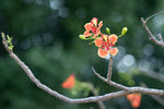 DSC03775