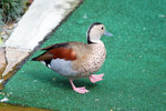 DSC03965