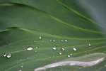 DSC04023