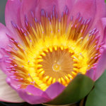 DSC04051