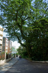 DSC04696