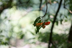 DSC04802