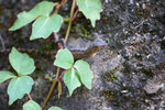 DSC04819