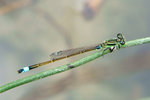 DSC05608