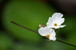 DSC05642