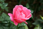 DSC05785