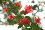 DSC05808