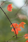 DSC05890