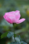 DSC06299