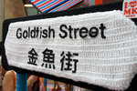 DSC07960
