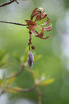 DSC08331