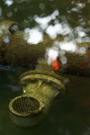 DSC08361