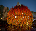 DSC08440-41