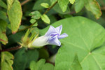 DSC08726