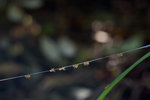 DSC01351