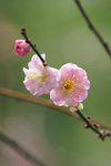 DSC01490