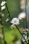 DSC01556