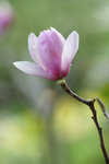 DSC01653