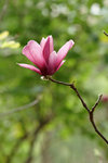 DSC01659