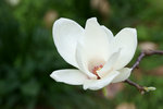 DSC01671