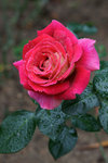 DSC01787
