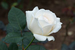 DSC01789